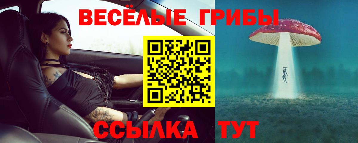 Псилоцибиновые грибы мухоморы  Псилоцибиновые грибы Cubensis  Чехов  Вход с VPN 
